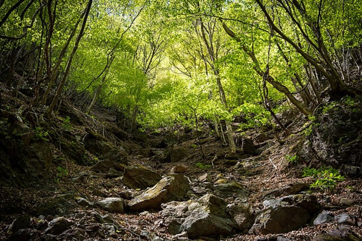 両神山